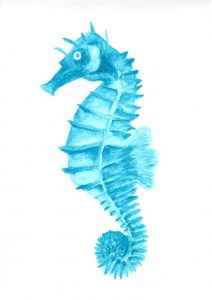 Blue Seahorse - watercolour crayons