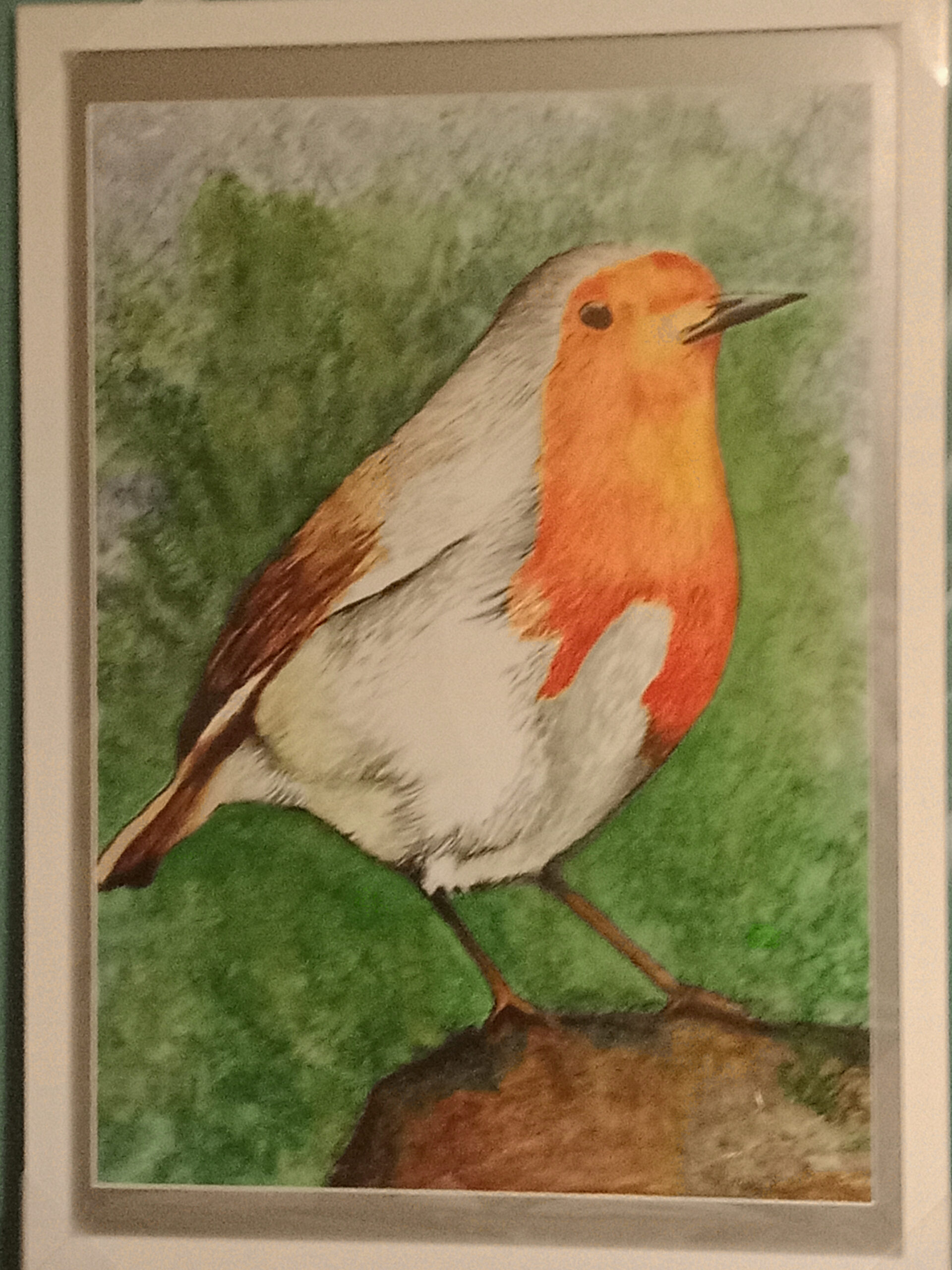 Robin - watercolour A1