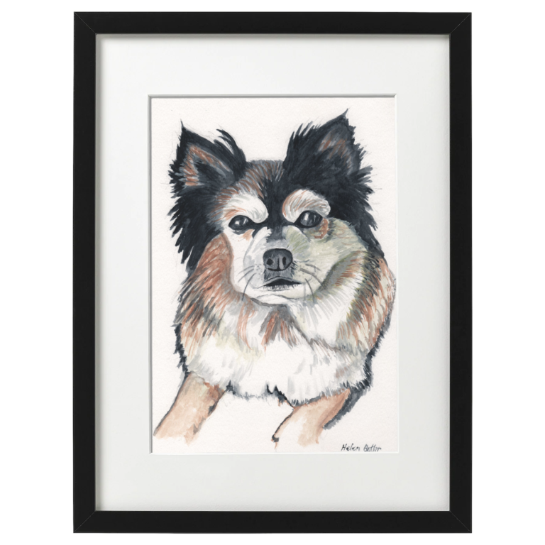 Blake the dog - watercolour