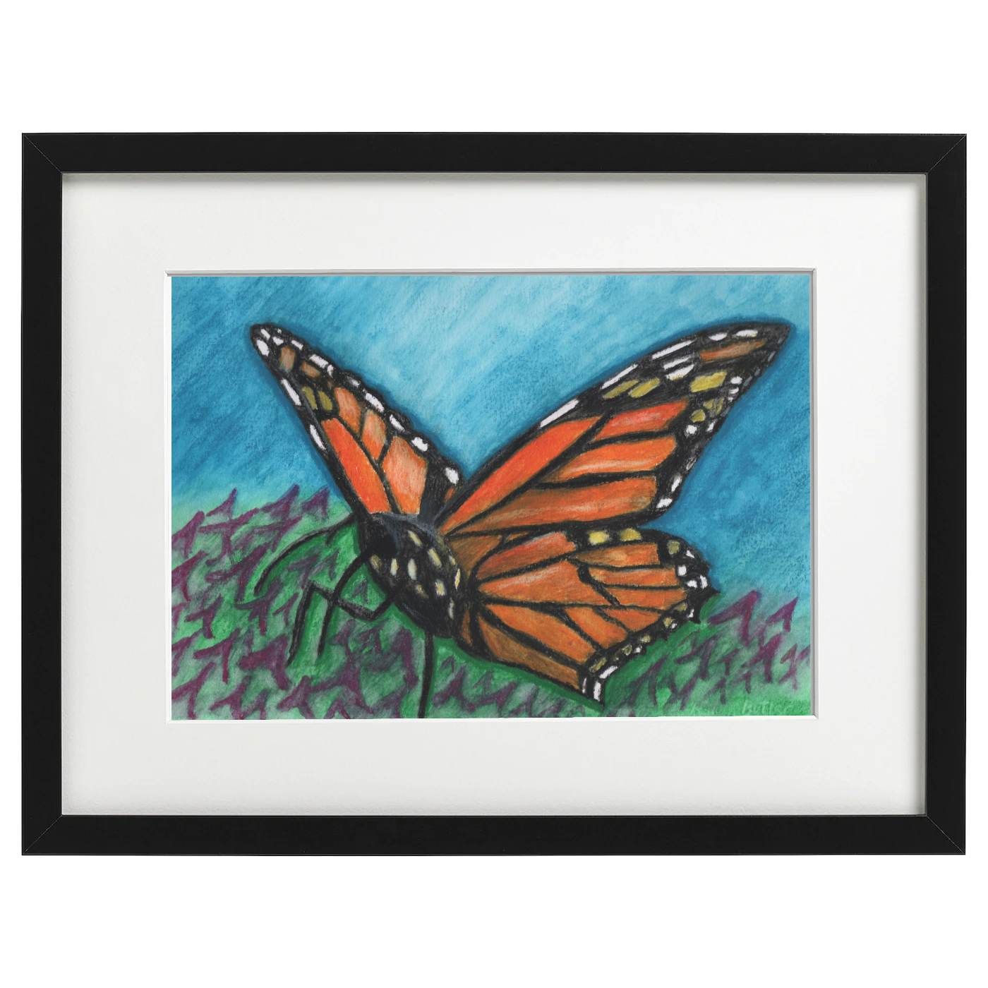 Butterfly - Watercolour crayon on A4 Watercolour paper