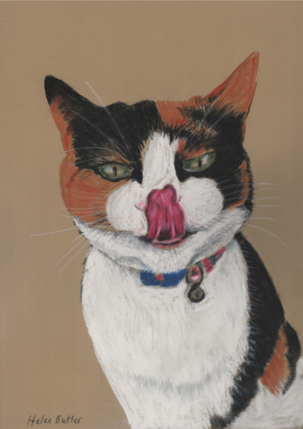 Cilla the cat - pastel on pastelmat