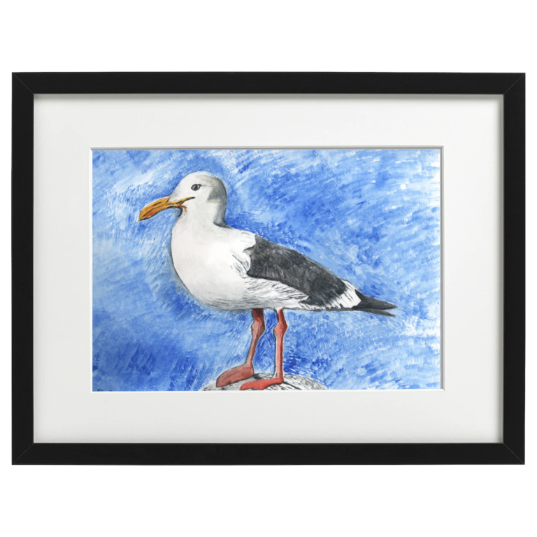 Seagull - watercolour