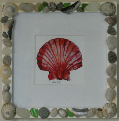 Scallop shell in sea glass and shell frame