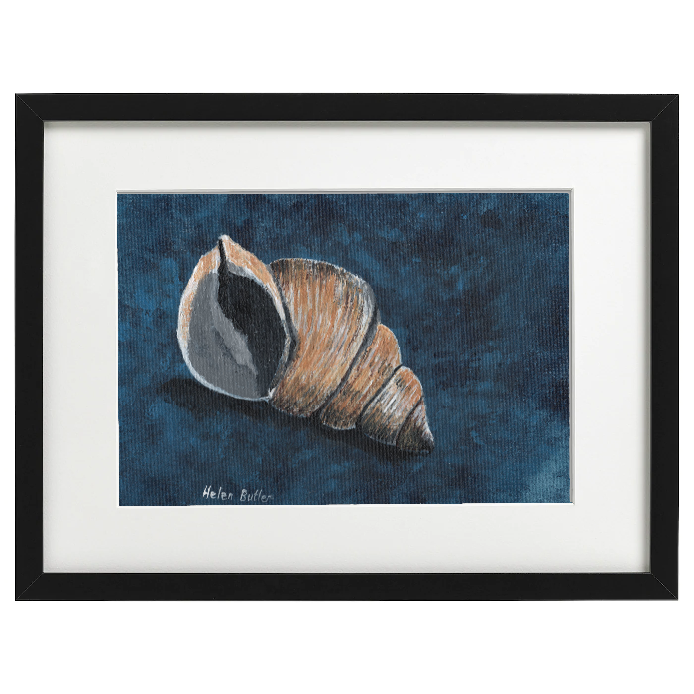 Whelk shell - Acrylic on A4 canvas board