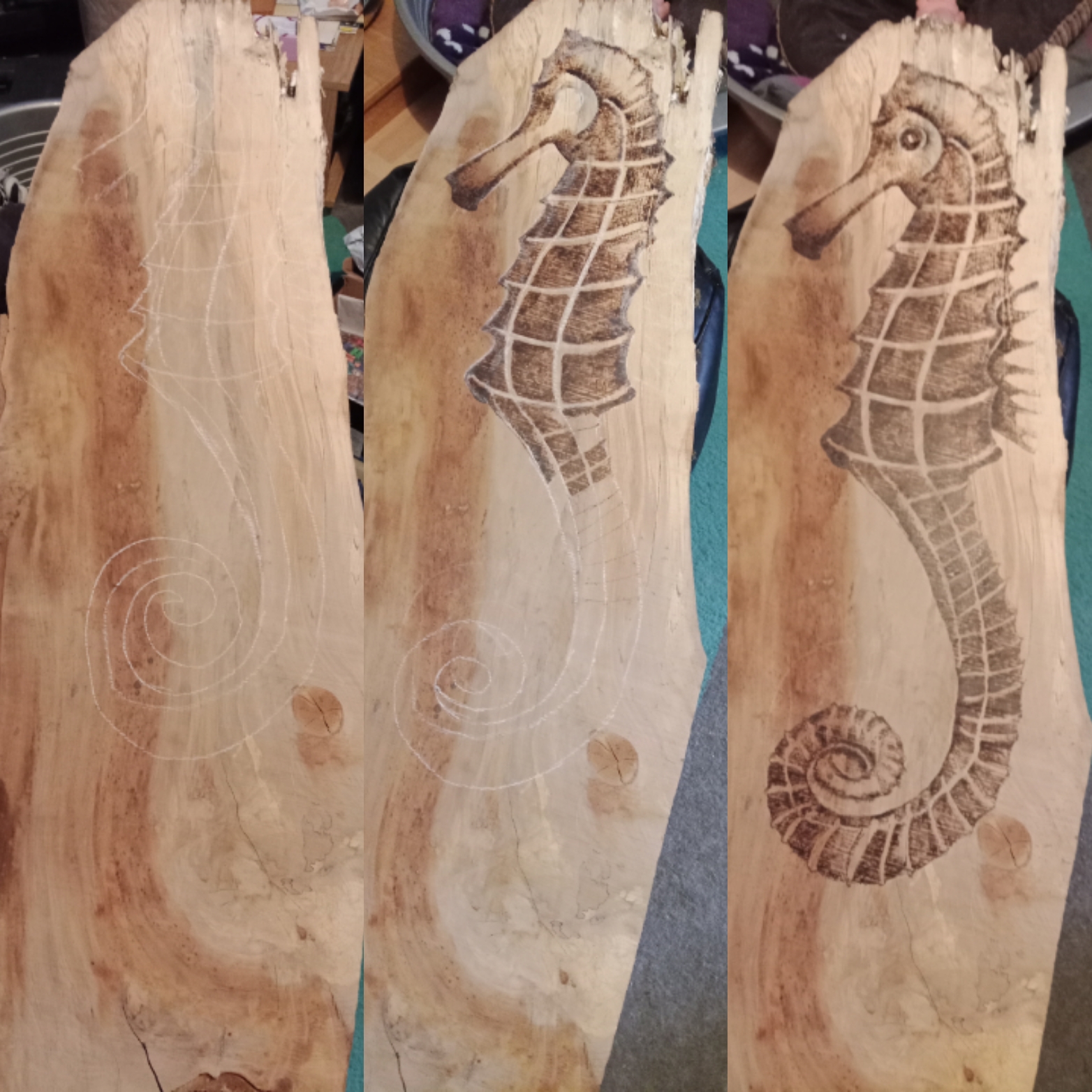 Work in progress pyrography seahorse
