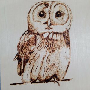 Owl pyrography
