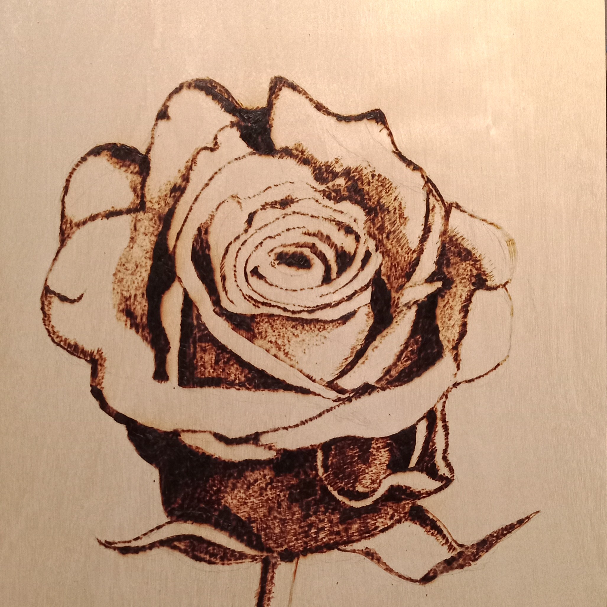 Rose pyrography on wood panel