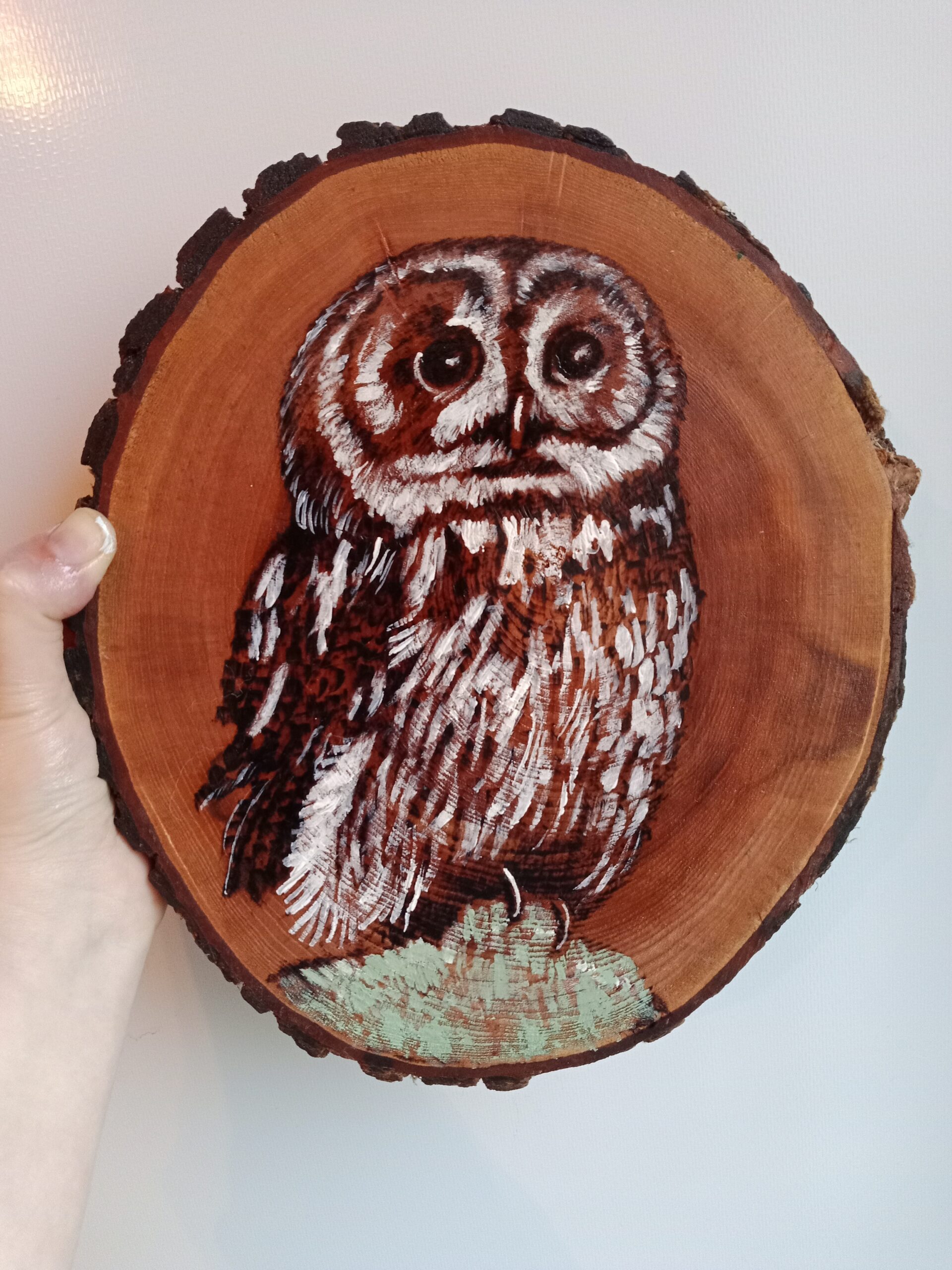 Tawny Owl wood round - pyrography and acrylic paint
