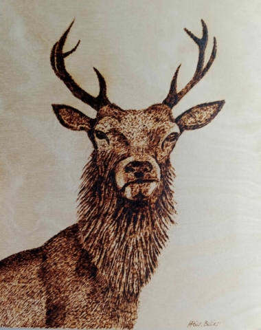 Stag pyrography