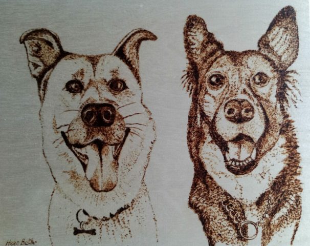 Lucy and Bella pyrography dogs