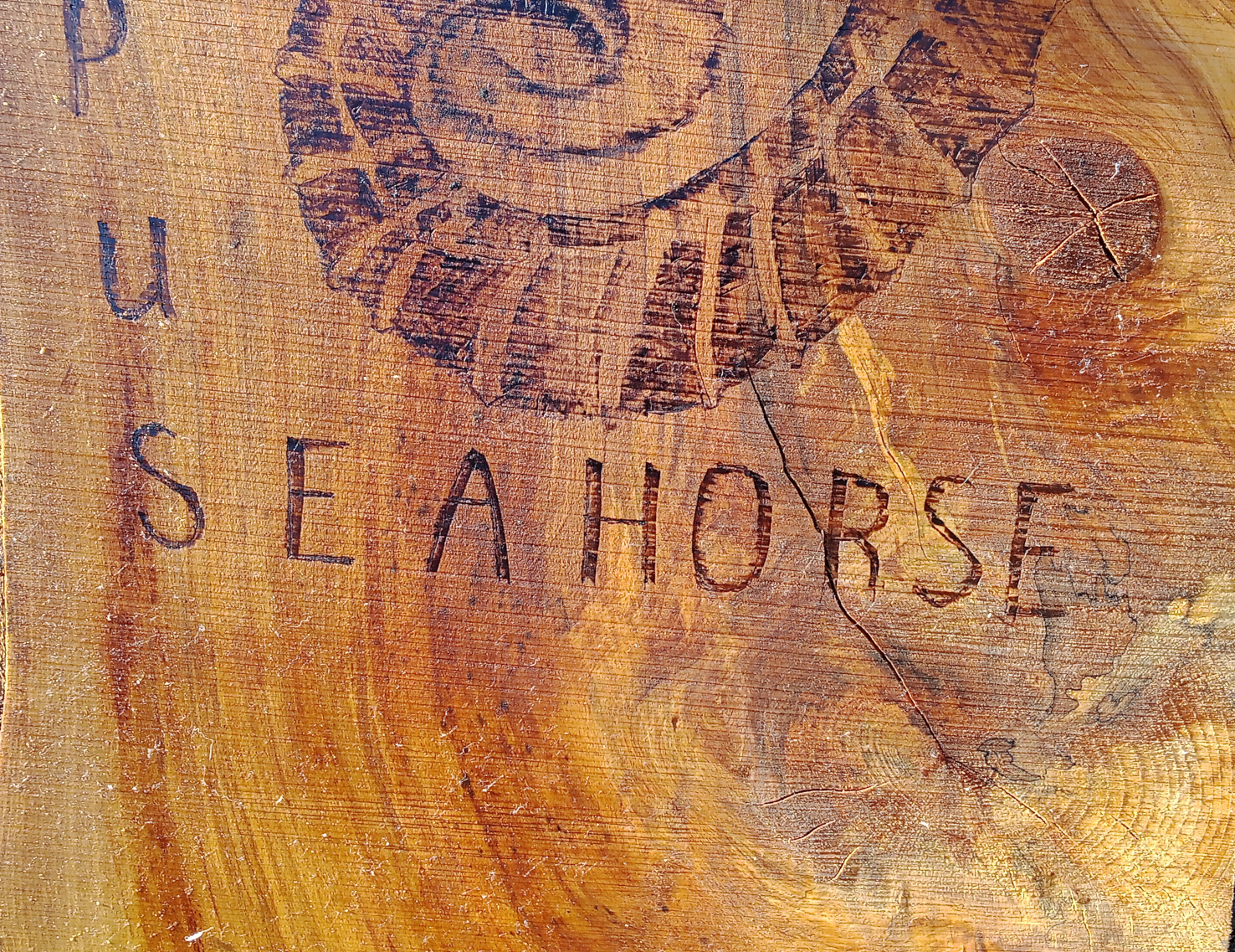 Close up of the woodgrain of pyrography seahorse