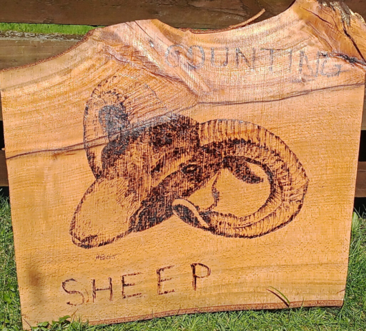 Highland Ram - Counting Sheep Wooden Pyrography coated with tung oil