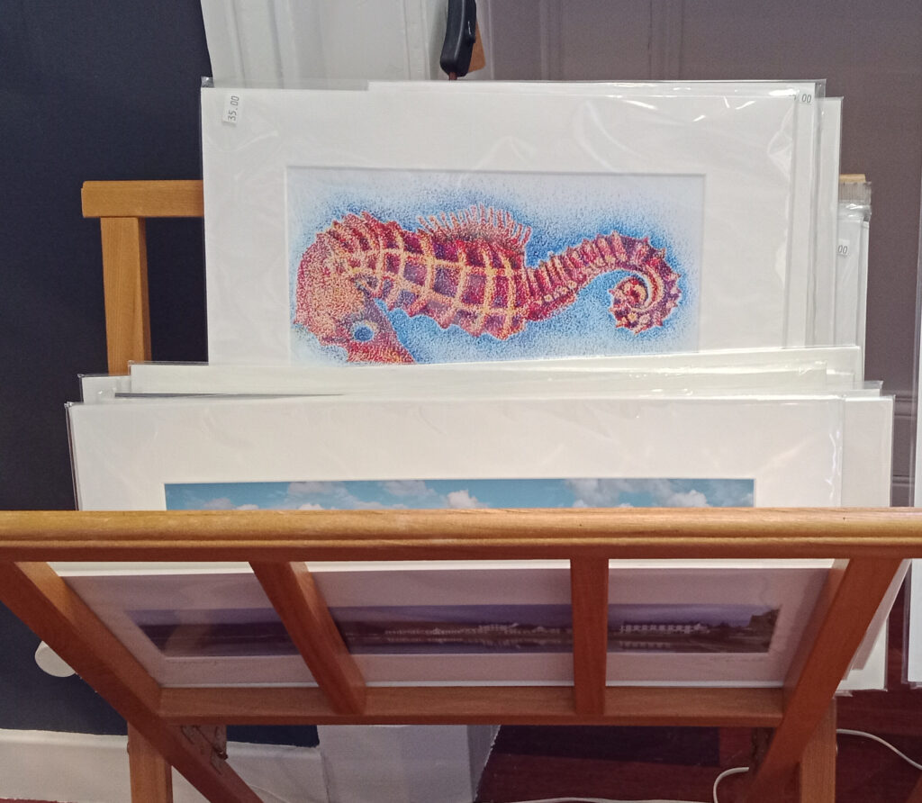 Seahorse art prints