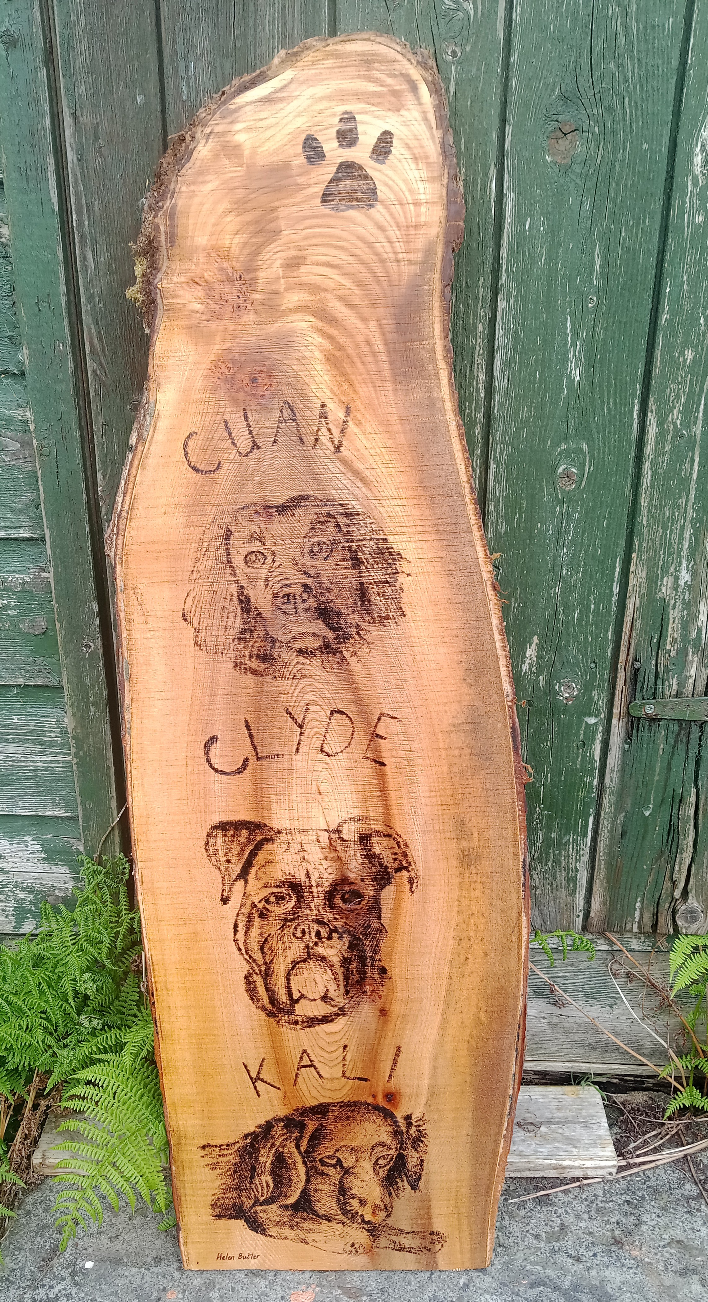 3 dogs pyrography