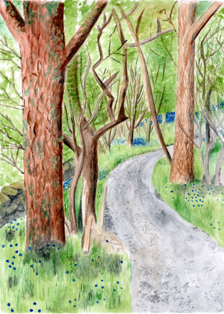 Blarbuie Woodland - Watercolour