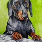 Sausage dog pet portrait - watercolour