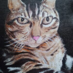 Tabby cat - acrylic