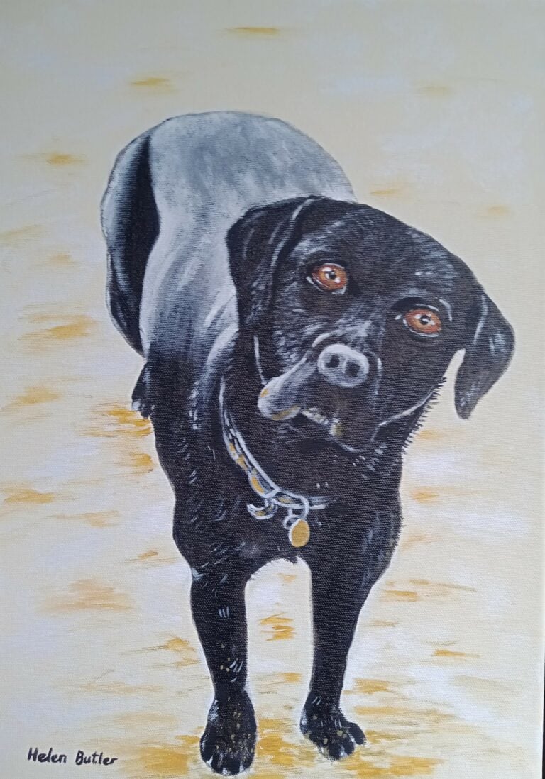 Lab on a beach - acrylic