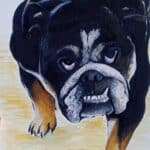 Bull dog pet portrait - watercolour